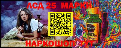 прущие грибы Моздок