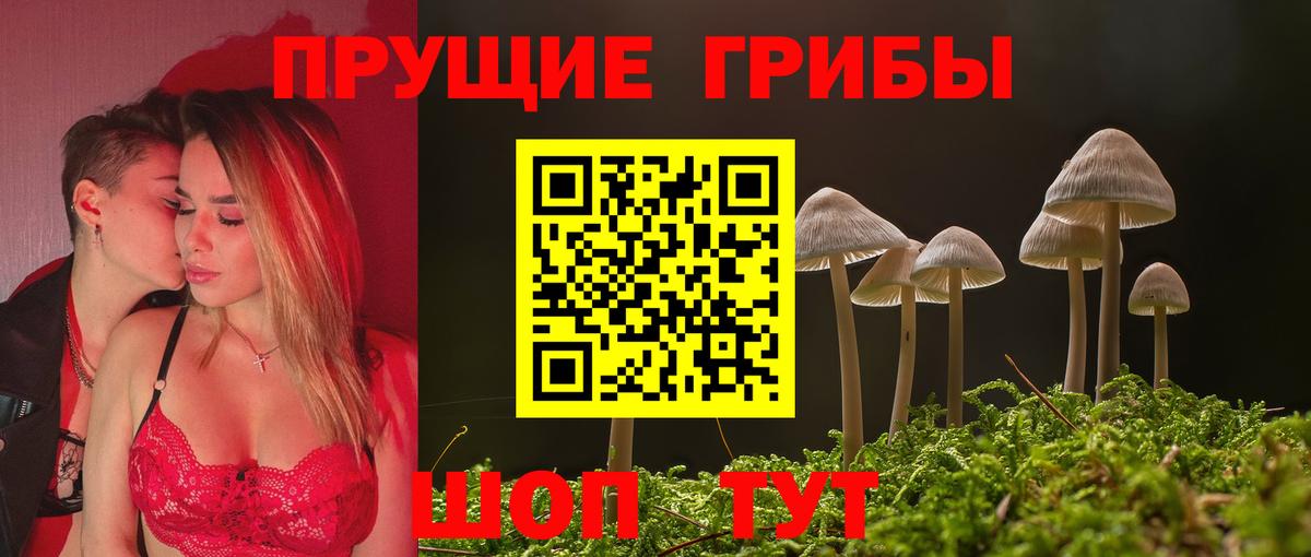 Вышний Волочёк  Псилоцибиновые грибы Magic Shrooms  Вход с VPN 