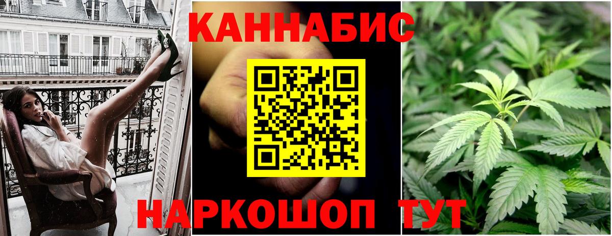 Канабис White Widow  Вход с VPN  Каннабис тримм  Вышний Волочёк  Бошки марихуана план  Шишки марихуана AK-47 