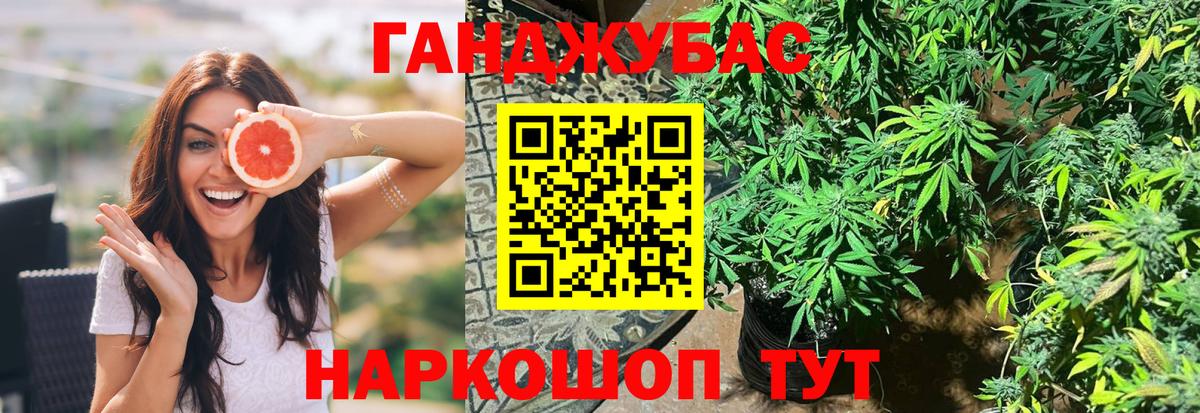 Бошки Шишки план Вышний Волочёк